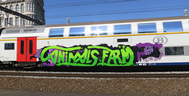 （Resource: Whole Train Press）