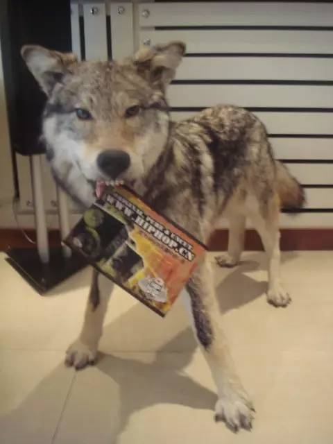 《中国有嘻哈》前传:不该被遗忘的10年 | 第25张 | 嘻哈中国 《中国有嘻哈》前传:不该被遗忘的10年 | 第25张