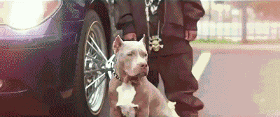 什么是Young OG 我觉得他们就是 | 第1张 | 嘻哈中国 什么是Young OG 我觉得他们就是 | 第1张