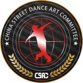 中国社会艺术协会街舞艺术委员会在京成立 | 第8张