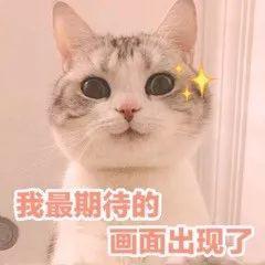 孙旭 黄旭，同样都是“旭”，有啥不一样？