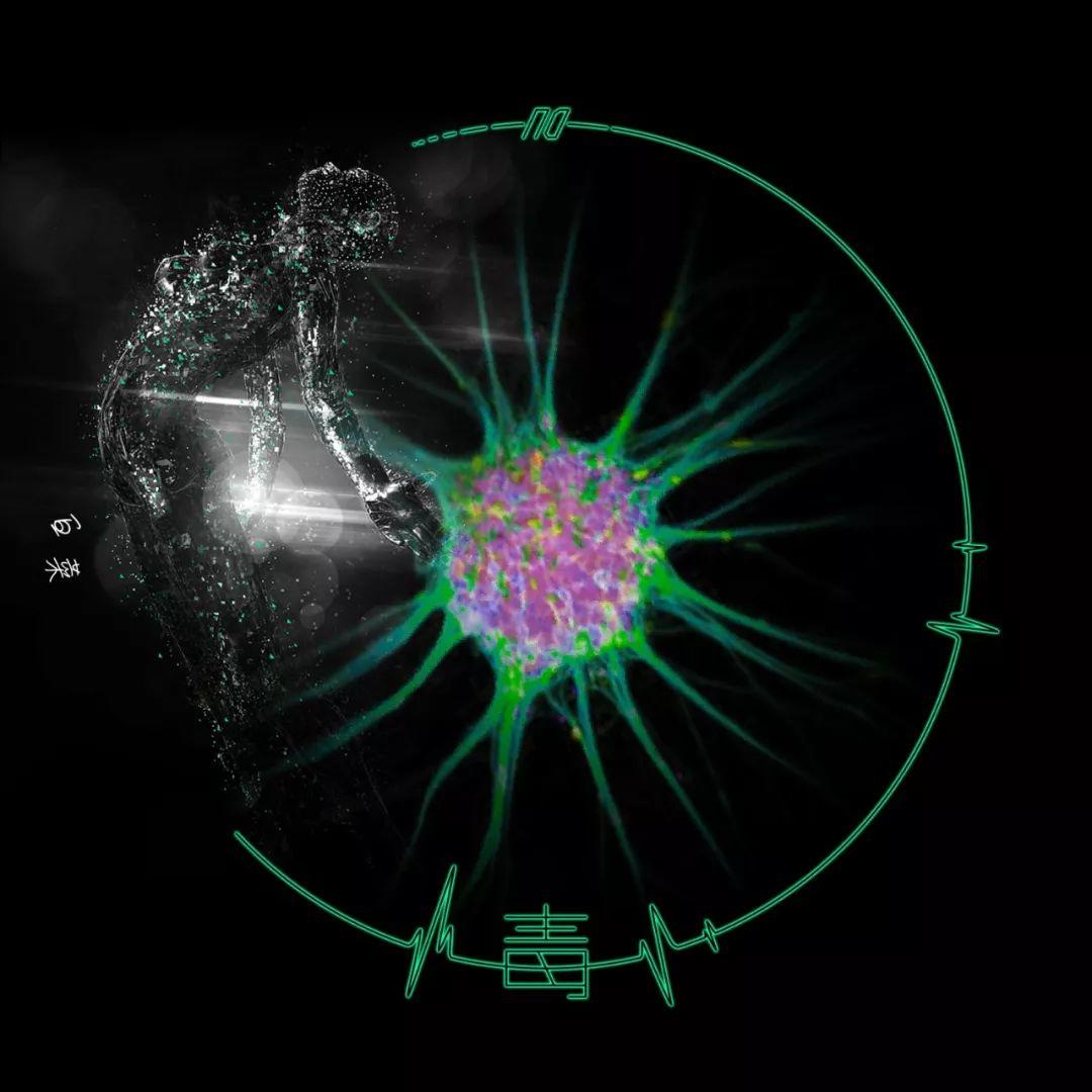 轮椅上的Rapper一首《毒》，让你选择背离多少黑暗