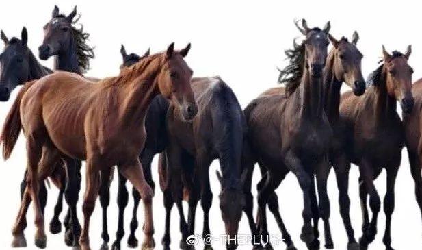 美国国务院就Rocky事件发声,Lil Peep将释出逝世后第二张专辑 | 第3张 | 嘻哈中国 美国国务院就Rocky事件发声,Lil Peep将释出逝世后第二张专辑 | 第3张