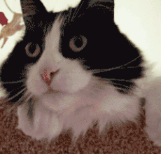 《中国新说唱》结束后,他们才是最让人心疼的选手吧! | 第5张 | 嘻哈中国 《中国新说唱》结束后,他们才是最让人心疼的选手吧! | 第5张