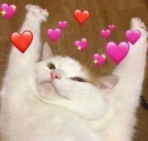 ​与rapper恋爱不完全指南