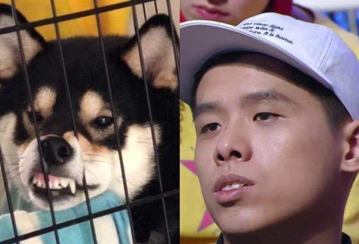 法老是如何从怼天怼地的杀人狂魔鼠尾草，变身成为一名保安的？