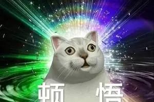 《说唱听我的》中,他成为了Free-out当之无愧的团魂 | 第3张 | 嘻哈中国 《说唱听我的》中,他成为了Free-out当之无愧的团魂 | 第3张