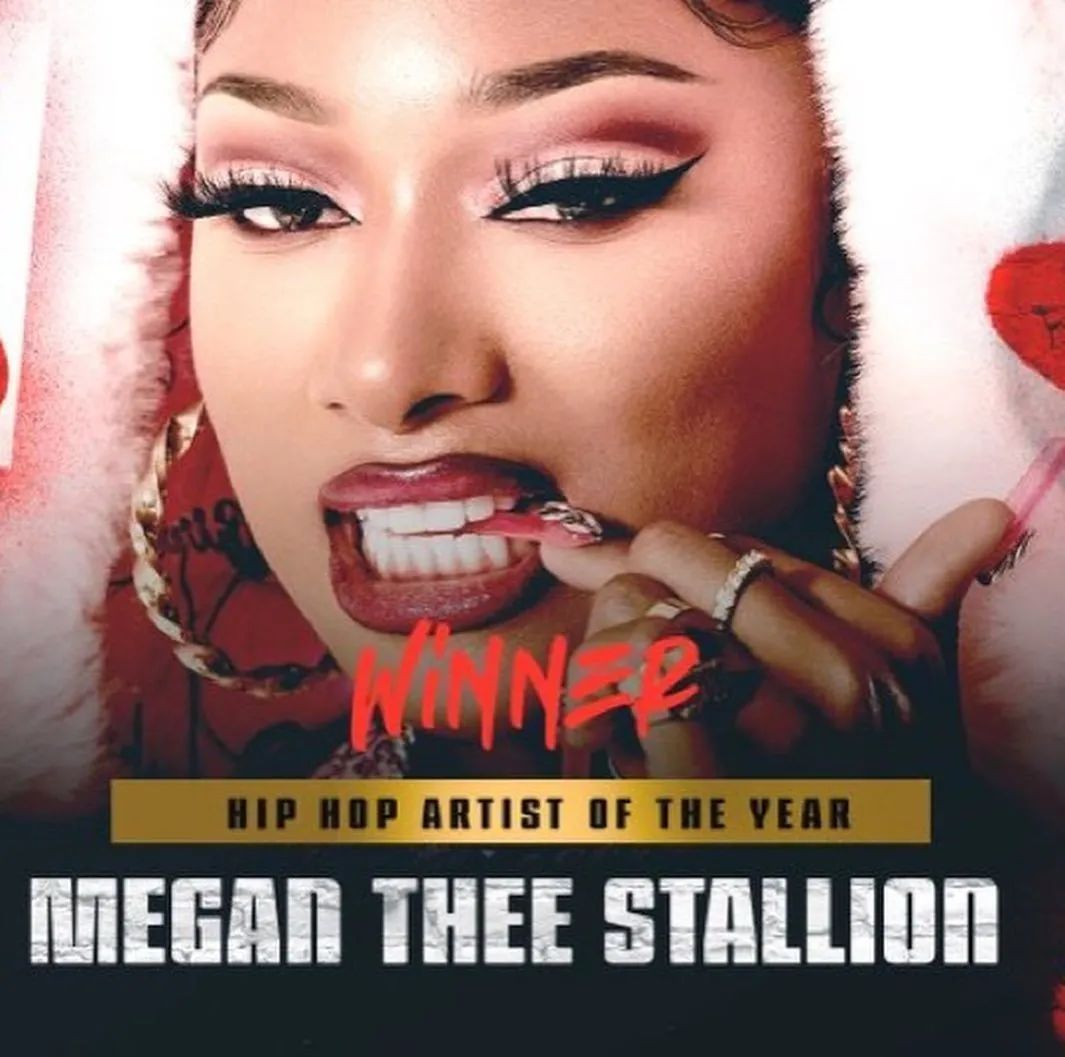 BET保送Megan Thee Stallion, 大宝贝小宝贝纷纷流泪 | 第9张