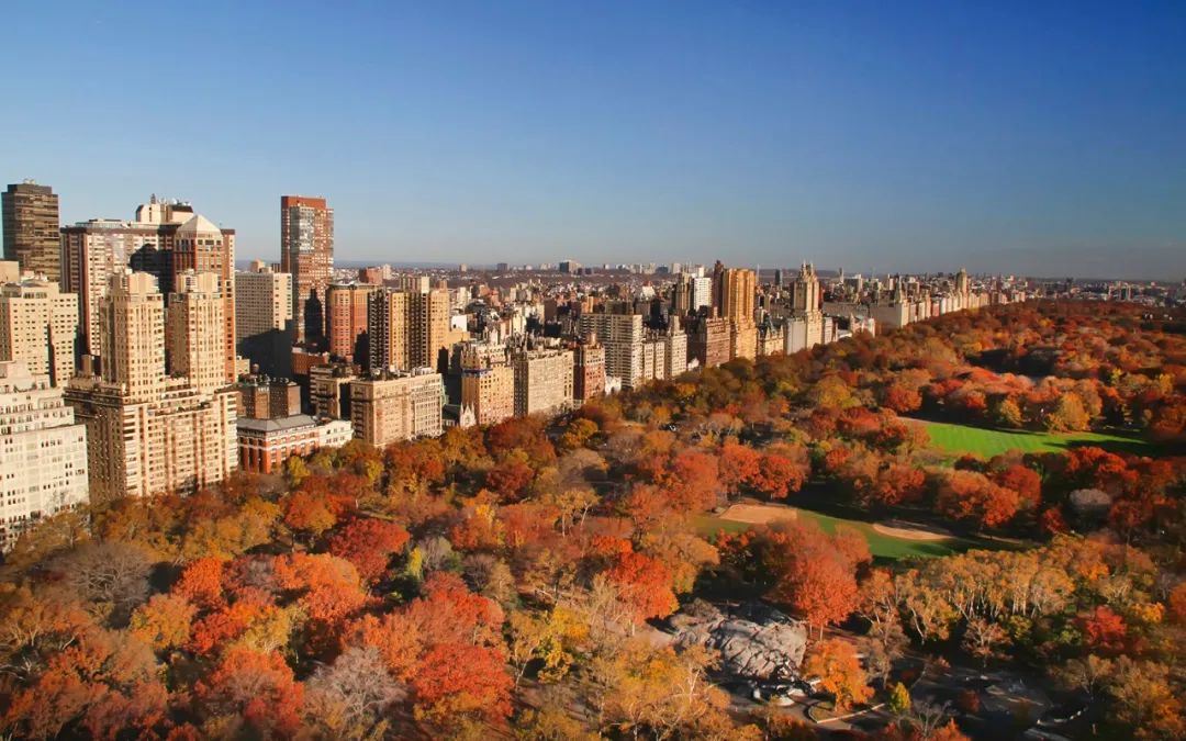 你也和Frank Ocean一样喜欢秋天吗? | 第12张 | 嘻哈中国 你也和Frank Ocean一样喜欢秋天吗? | 第12张