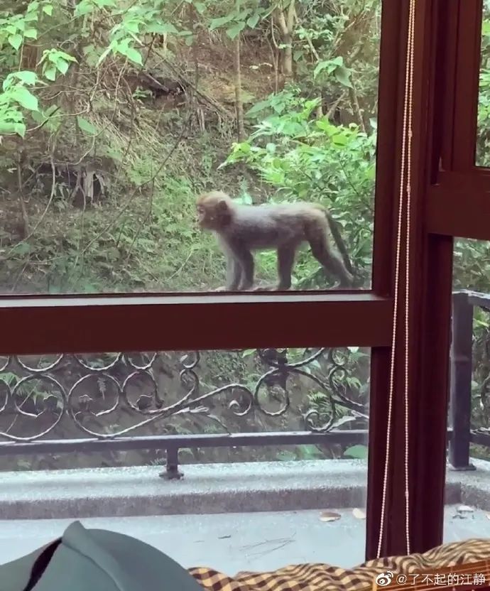 她是中文说唱圈乘风破浪的姐姐，也是无数人心中的女神