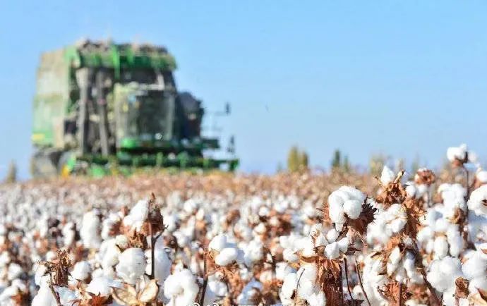 乃万主动下架《PUMA》支持新疆棉花,AR对于HM事件的diss已在路上 | 第3张 | 嘻哈中国 乃万主动下架《PUMA》支持新疆棉花,AR对于HM事件的diss已在路上 | 第3张