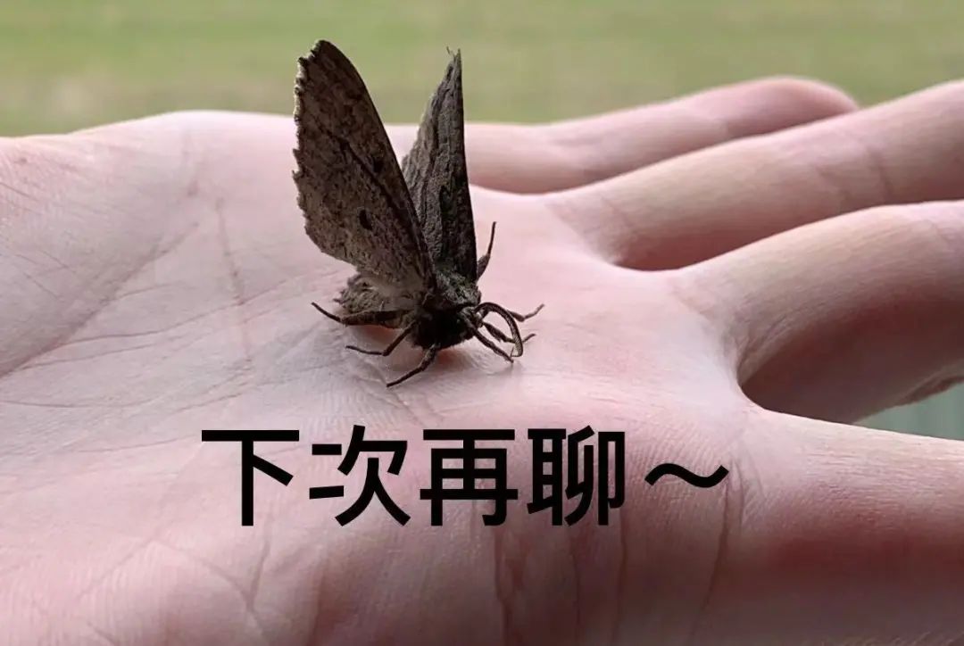 我个人对于目前国内嘻哈音乐的不成熟反思