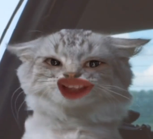 赵辰龙马甲曝光,再度回应幼杀;马思唯和王以太终于第一次双人合作! | 第4张 | 嘻哈中国 赵辰龙马甲曝光,再度回应幼杀;马思唯和王以太终于第一次双人合作! | 第4张