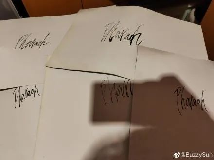 合作幼杀、龚琳娜，拿下网易云热搜第一，法老的新专辑真的超越《生于未来》了吗？ | 第11张