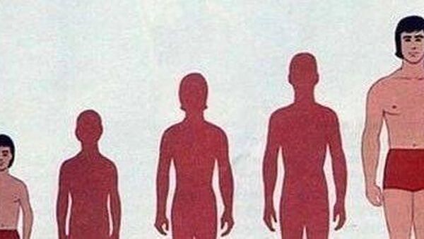 跳街舞影响身高 这句话怎么来的?