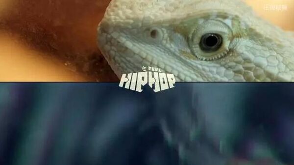 说唱|中国HipHop音乐制作人纪录片「打孩子」广州篇