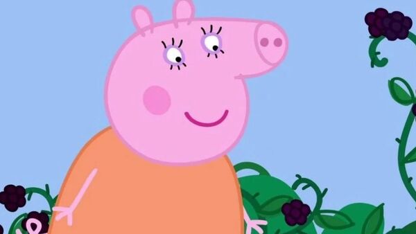 国内那些高产似母猪的rapper