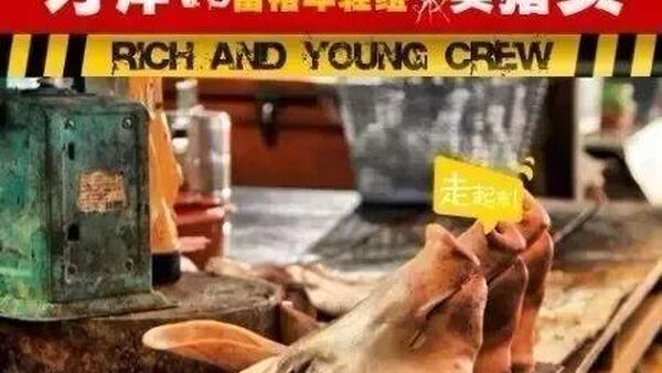 醉人赵辰龙 9Tribez 他才是中文说唱圈最骚的rapper